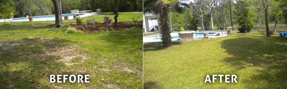 chemlawn